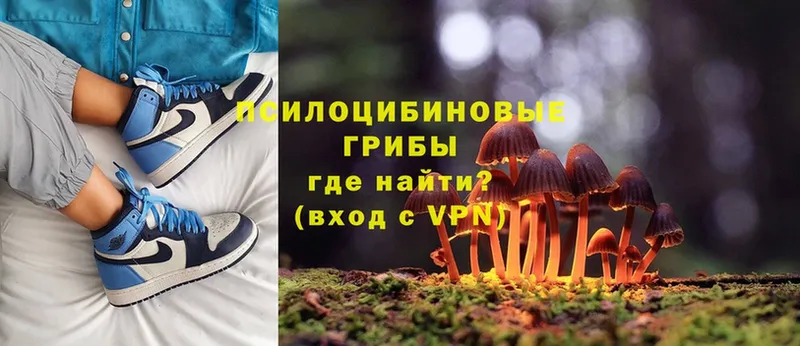 где найти наркотики  Артёмовский  Псилоцибиновые грибы Cubensis 